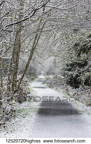 Snow falls on Netul River Trail; Astoria, Oregon, United States of America View Large Photo Image Stock Photograph - Snow falls on Netul River Trail; Astoria, Oregon, United States of America. Fotosearch