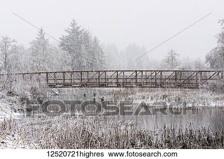 Snowfall enhances a rustic scene of a footbridge over a pond in Western Oregon; Astoria, Oregon, United States of America View Large Photo Image Stock Photograph - Snowfall enhances a rustic scene of a footbridge over a pond in Western Oregon; Astoria, Oregon, United States of America. Fotosearch