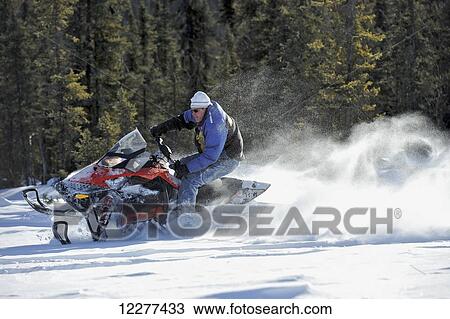 Snowmachiner on Little Harding Lake near Fairbanks, Alaska, winter View Large Photo Image Stock Image - Snowmachiner on Little Harding Lake near Fairbanks, Alaska, winter. Fotosearch