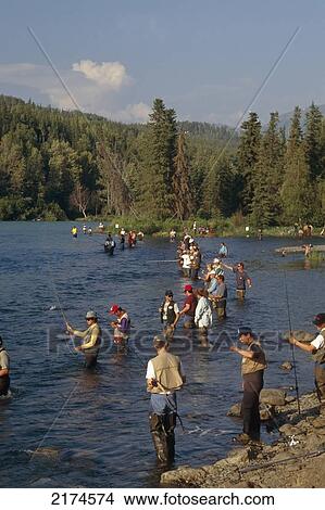 Spinfishing Russian River Kenai Peninsula Alaska Summer View Large Photo Image Picture - Spinfishing Russian River Kenai Peninsula Alaska Summer. Fotosearch