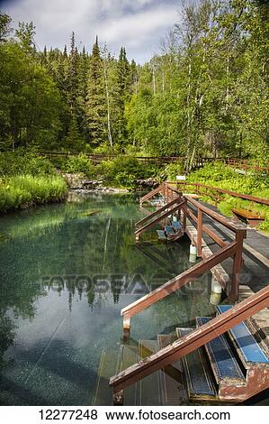 Stairs leading into the hot spring pools at Liard River Hot Springs, Liard River Hot Springs Provincial Park, British Columbia, Canada, Summer View Large Photo Image Stock Photo - Stairs leading into the hot spring pools at Liard River Hot Springs, Liard River Hot Springs Provincial Park, British Columbia, Canada, Summer. Fotosearch