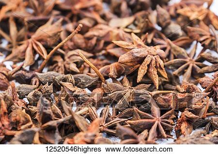 Star anis (Illicium verum) for sale at the Sunday market; Bac Ha, Lao Cai, Vietnam View Large Photo Image Stock Photograph - Star anis (Illicium verum) for sale at the Sunday market; Bac Ha, Lao Cai, Vietnam. Fotosearch
