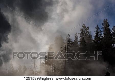 Stock Photograph - Steam rises from geysers in Norris Geyser Basin, Yellowstone National Park; Wyoming, United States of America. Fotosearch
