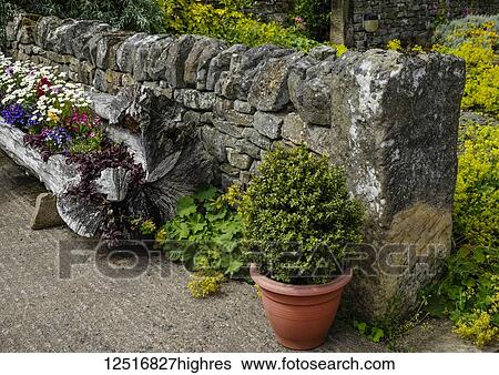 Stone wall and flowers in a carved out log planter; Kirkharle, Northumberland, England View Large Photo Image Stock Photograph - Stone wall and flowers in a carved out log planter; Kirkharle, Northumberland, England. Fotosearch
