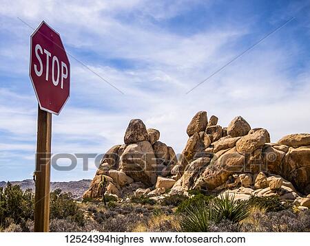 Stop sign in Joshua Tree National Park; California, United States of America View Large Photo Image Stock Photograph - Stop sign in Joshua Tree National Park; California, United States of America. Fotosearch