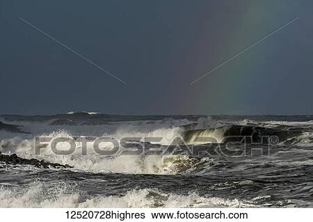 Stormy weather brings drama to the sky on the Oregon Coast with a rainbow of colour against the dark cloud over the waves; Seaside, Oregon, United States of America View Large Photo Image Stock Photograph - Stormy weather brings drama to the sky on the Oregon Coast with a rainbow of colour against the dark cloud over the waves; Seaside, Oregon, United States of America. Fotosearch