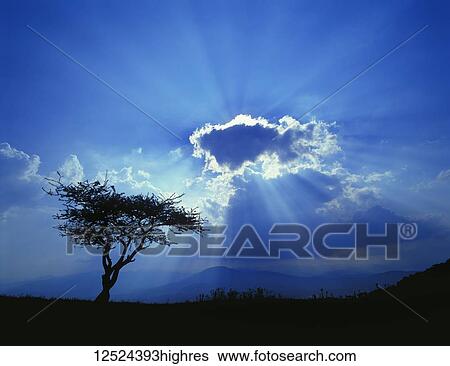 Sun rays burst around a glowing cloud to a silhouetted landscape below, near Mexico City; Mexico View Large Photo Image Stock Photograph - Sun rays burst around a glowing cloud to a silhouetted landscape below, near Mexico City; Mexico. Fotosearch