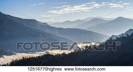 Stock Photograph - Sunlight illuminates the clouds lying low in the valley in the Himalayas; West Bengal, India. Fotosearch