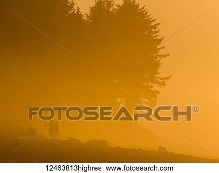 Sunset lights up the fog with a golden glow on the Oregon Coast; Seaside, Oregon, United States of America View Large Photo Image Stock Photograph - Sunset lights up the fog with a golden glow on the Oregon Coast; Seaside, Oregon, United States of America. Fotosearch