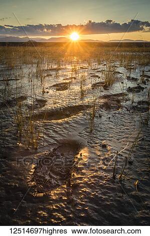 Stock Photograph - Sunset over the distant mountains with footprints in the mud in the foreground, Kluane National Park; Destruction Bay, Yukon Territory, Canada. Fotosearch
