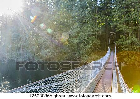 Sunshine lights the way along a suspension bridge across the end of Buntzen Lake trail to continue the path into the forest trails near Vancouver; British Columbia, Canada View Large Photo Image Stock Photograph - Sunshine lights the way along a suspension bridge across the end of Buntzen Lake trail to continue the path into the forest trails near Vancouver; British Columbia, Canada. Fotosearch