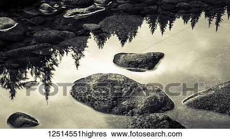 Stock Photograph - Surface of rocks in clear, shallow water and the reflection of trees from the shoreline; British Columbia, Canada. Fotosearch