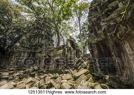 Ta Prohm temple ruins overgrown by vegetation; Angkor, Siem Reap, Cambodia View Large Photo Image Stock Photograph - Ta Prohm temple ruins overgrown by vegetation; Angkor, Siem Reap, Cambodia. Fotosearch