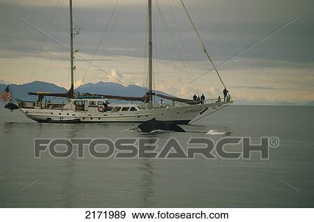 Tail Of Humpback Whale And Boat Southeast Alaska View Large Photo Image Stock Photo - Tail Of Humpback Whale And Boat Southeast Alaska. Fotosearch