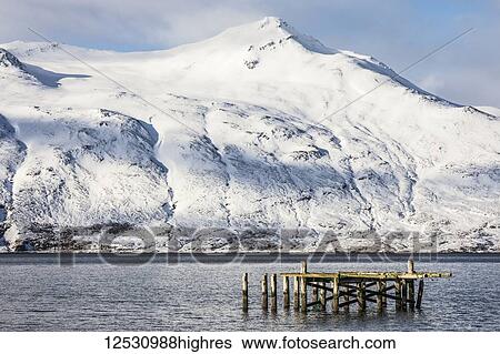 The old dock and snow covered mountains surrounding Djupavik; Djuupavik, West Fjords, Iceland View Large Photo Image Stock Photograph - The old dock and snow covered mountains surrounding Djupavik; Djuupavik, West Fjords, Iceland. Fotosearch