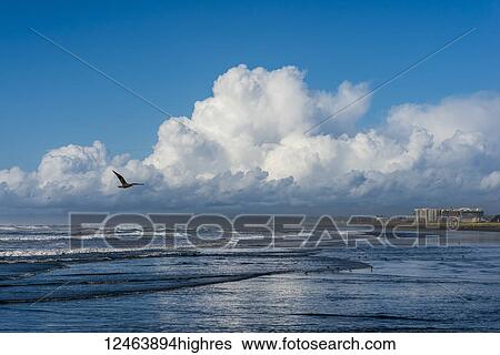 The Pacific ocean washing up over the beach with clouds looming over the coastal town of Seaside; Seaside, Oregon, United States of America View Large Photo Image Stock Photograph - The Pacific ocean washing up over the beach with clouds looming over the coastal town of Seaside; Seaside, Oregon, United States of America. Fotosearch