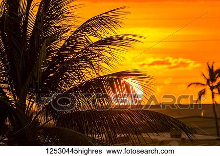 Stock Photograph - The setting sun viewed through a coconut palm tree from a hotel balcony; Kailua-Kona, Island of Hawaii, Hawaii, United States of America. Fotosearch