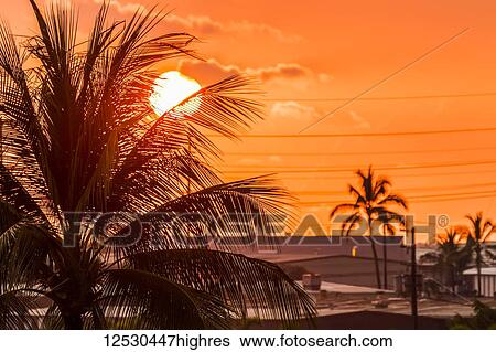 Stock Photograph - The setting sun viewed through a coconut palm tree from a hotel balcony; Kailua-Kona, Island of Hawaii, Hawaii, United States of America. Fotosearch