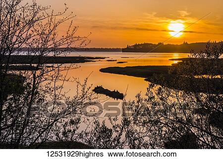 The sun sets over Willapa Bay; Naselle, Washington, United States of America View Large Photo Image Stock Photograph - The sun sets over Willapa Bay; Naselle, Washington, United States of America. Fotosearch