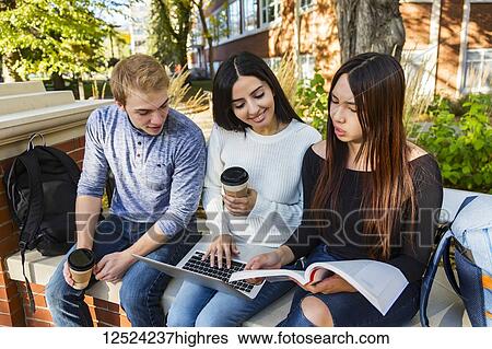 Three young university students sit on a bench with an open laptop while looking at a textbook and working together on schoolwork; Edmonton, Alberta, Canada View Large Photo Image Stock Photograph - Three young university students sit on a bench with an open laptop while looking at a textbook and working together on schoolwork; Edmonton, Alberta, Canada. Fotosearch