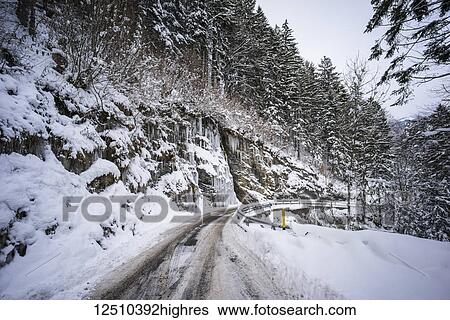Stock Photograph - Tire tracks in a snow covered road beside a forest on a mountainside, Hauptstrasse Road; Switzerland. Fotosearch