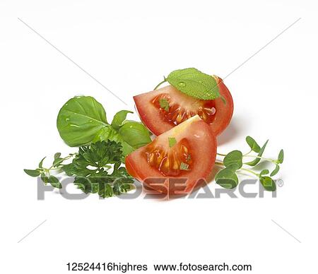Tomato slices with fresh basil, oregano, parsley and sprouts View Large Photo Image Stock Photograph - Tomato slices with fresh basil, oregano, parsley and sprouts. Fotosearch