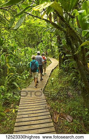 Tourists on boardwalk to Waimoku Falls; Kipahulu, Maui, Hawaii, United States of America View Large Photo Image Stock Photograph - Tourists on boardwalk to Waimoku Falls; Kipahulu, Maui, Hawaii, United States of America. Fotosearch