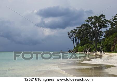 Stock Photograph - Tropical beach with storm clouds over the horizon; Andaman Islands, India. Fotosearch
