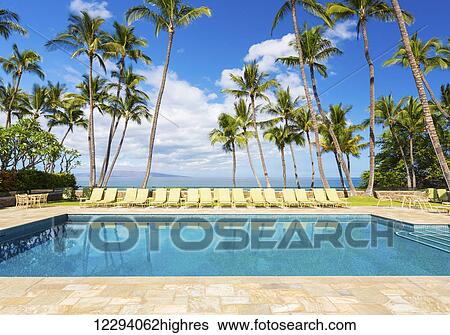 Stock Photograph - Tropical Resort Pool With Lounge Chairs, Palm Trees, And Ocean View. Fotosearch