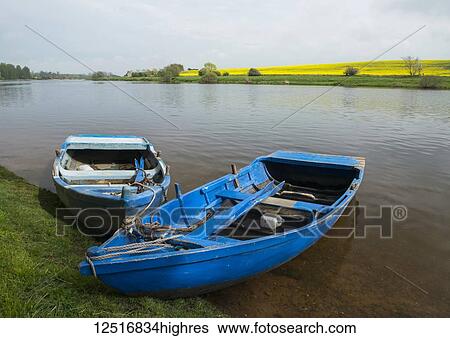 Two blue wooden rowboats moored along the shore of the River Tweed with a field of yellow blossoming flowers in the distance; Scotland View Large Photo Image Stock Photograph - Two blue wooden rowboats moored along the shore of the River Tweed with a field of yellow blossoming flowers in the distance; Scotland. Fotosearch
