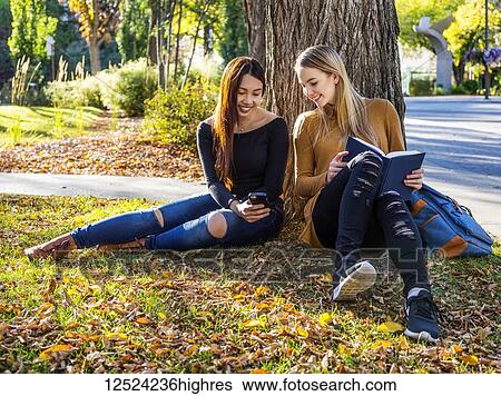Two female university students sit under a tree talking, reading and looking at a smart phone together; Edmonton, Alberta, Canada View Large Photo Image Stock Photograph - Two female university students sit under a tree talking, reading and looking at a smart phone together; Edmonton, Alberta, Canada. Fotosearch