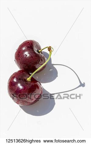 Stock Photograph - Two ripe red cherries with water droplets on a white background with striking shadows of the stems. Fotosearch