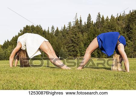 Two Teenage Gymnists Practicing Bridge Up Routine Outdoors In Dresses; Edmonton, Alberta, Canada View Large Photo Image Stock Photograph - Two Teenage Gymnists Practicing Bridge Up Routine Outdoors In Dresses; Edmonton, Alberta, Canada. Fotosearch