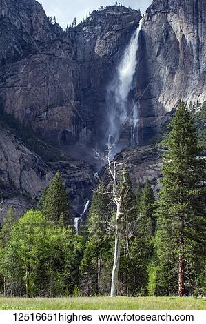 Stock Photograph - Upper and Lower Yosemite Falls, Yosemite National Park; California, United States of America. Fotosearch