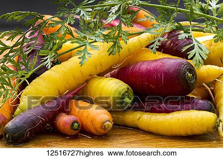 Variety of coloured fresh carrots laying on a wooden surface View Large Photo Image Stock Photograph - Variety of coloured fresh carrots laying on a wooden surface. Fotosearch