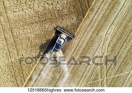 Stock Photograph - View from directly above of a combine cutting a barley field; Blackie, Alberta, Canada. Fotosearch