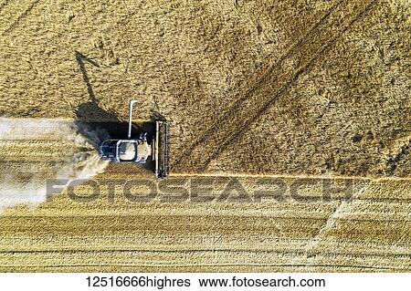 Stock Photograph - View from directly above of a combine cutting a barley field; Blackie, Alberta, Canada. Fotosearch
