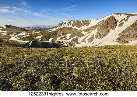 View from the Beartooth Highway; Cody, Wyoming, United States of America View Large Photo Image Stock Photograph - View from the Beartooth Highway; Cody, Wyoming, United States of America. Fotosearch