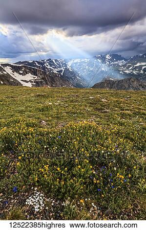 View from the Beartooth Highway of the Beartooth Mountains and the sun rays breaking through the clouds; Cody, Wyoming, United States of America View Large Photo Image Stock Photograph - View from the Beartooth Highway of the Beartooth Mountains and the sun rays breaking through the clouds; Cody, Wyoming, United States of America. Fotosearch