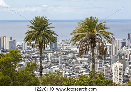 View of downtown Honolulu with two palm trees in the foreground; Honolulu, Oahu, Hawaii, United States of America View Large Photo Image Stock Image - View of downtown Honolulu with two palm trees in the foreground; Honolulu, Oahu, Hawaii, United States of America. Fotosearch