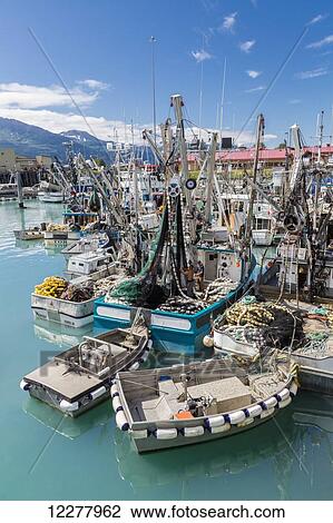 View of seine fishing boats and nets in the Valdez boat harbor, Southcentral Alaska, Summer. View Large Photo Image Stock Image - View of seine fishing boats and nets in the Valdez boat harbor, Southcentral Alaska, Summer.. Fotosearch