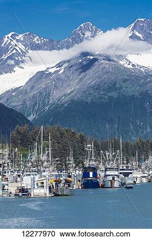 View of seine fishing boats in the Valdez boat harbor and the snow capped Chugach Mountains, Southcentral Alaska, Summer. View Large Photo Image Stock Image - View of seine fishing boats in the Valdez boat harbor and the snow capped Chugach Mountains, Southcentral Alaska, Summer.. Fotosearch