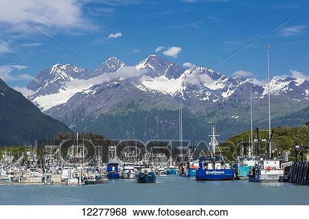 View of seine fishing boats in the Valdez boat harbor and the snow capped Chugach Mountains, Southcentral Alaska, Summer. View Large Photo Image Stock Photo - View of seine fishing boats in the Valdez boat harbor and the snow capped Chugach Mountains, Southcentral Alaska, Summer.. Fotosearch