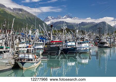View of seine fishing boats in the Valdez boat harbor and the snow capped Chugach Mountains, Southcentral Alaska, Summer. View Large Photo Image Stock Photograph - View of seine fishing boats in the Valdez boat harbor and the snow capped Chugach Mountains, Southcentral Alaska, Summer.. Fotosearch