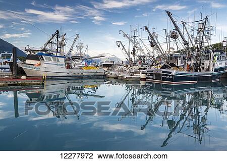 View of seine fishing boats reflecting in the water, Valdez boat harbor, Southcentral Alaska, Summer. View Large Photo Image Stock Image - View of seine fishing boats reflecting in the water, Valdez boat harbor, Southcentral Alaska, Summer.. Fotosearch