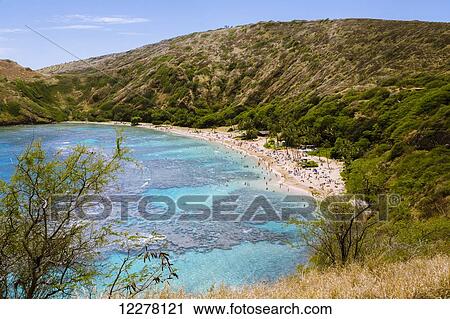 View of sun bathers and swimmers on the beach in Hanauma Bay State Park; Honolulu, Oahu, Hawaii, United States of America View Large Photo Image Stock Image - View of sun bathers and swimmers on the beach in Hanauma Bay State Park; Honolulu, Oahu, Hawaii, United States of America. Fotosearch
