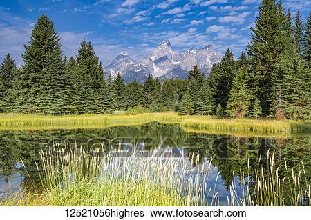 Stock Photograph - View of the Grand Teton Mountains reflected in a pond, Grand Teton National Park; Wyoming, United States of America. Fotosearch