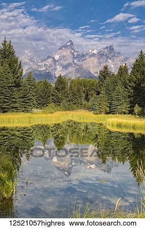 Stock Photograph - View of the Grand Teton Mountains reflected in a pond, Grand Teton National Park; Wyoming, United States of America. Fotosearch