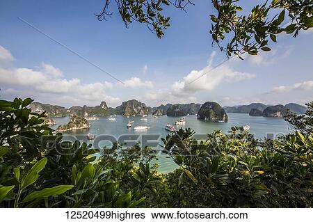 Stock Photograph - View of the limestone karsts and isles of Ha Long Bay, as seen from Titov Island; Quang Ninh, Vietnam. Fotosearch