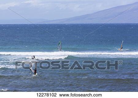 View of three wind surfers playing in the surf; Lahaina, Maui, Hawaii, United States of America View Large Photo Image Stock Image - View of three wind surfers playing in the surf; Lahaina, Maui, Hawaii, United States of America. Fotosearch